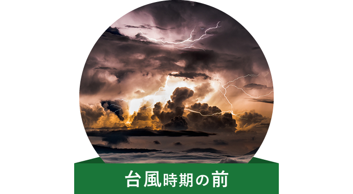 台風時期の前